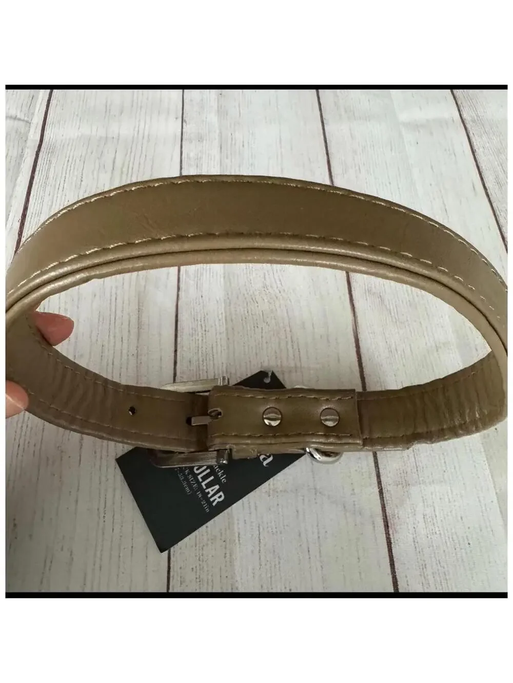 NWT Martha Stewart Dog Collar Leather Buckle, neck size 18-21”